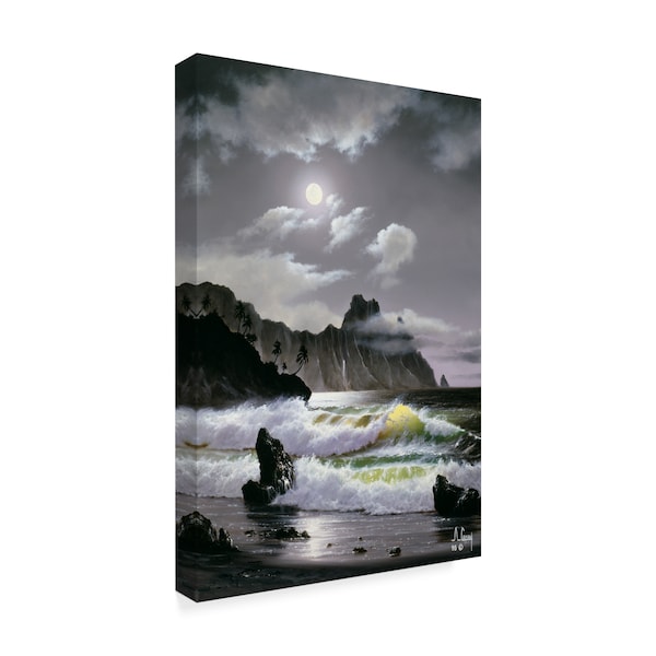 Anthony Casay 'Waves Under The Moon 3' Canvas Art,16x24